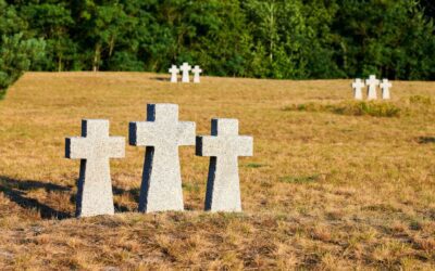 Legal and Medical Guide to Disinterment 2024