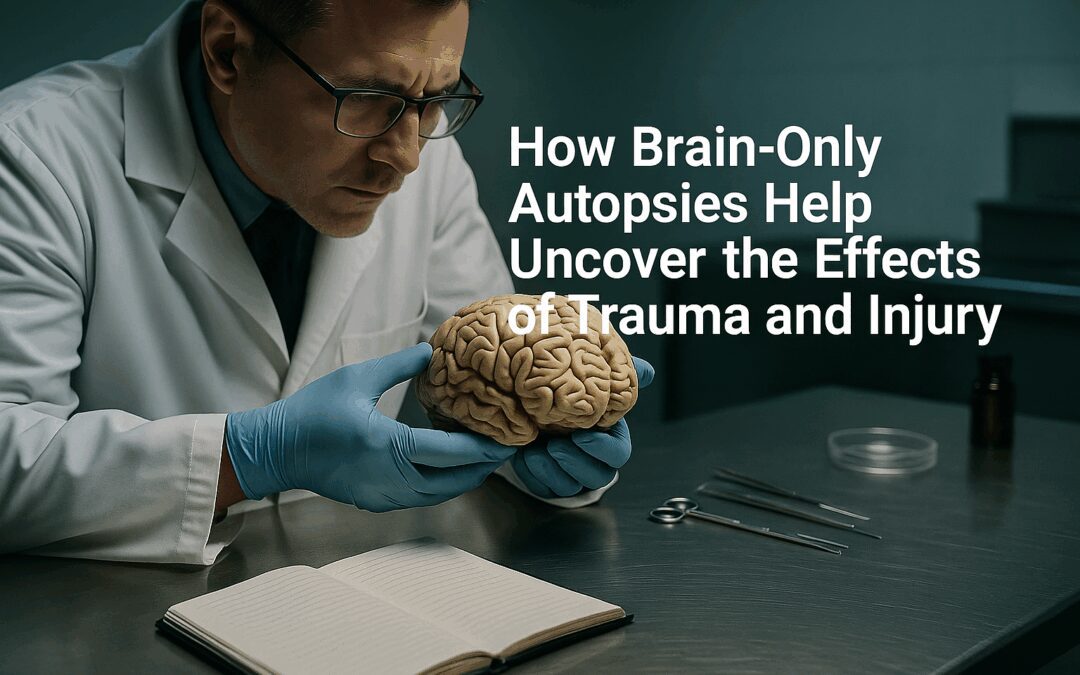 Forensic Pathologist Examining Preserved Human Brain During Brain-Only Autopsy for Postmortem Trauma Analysis.